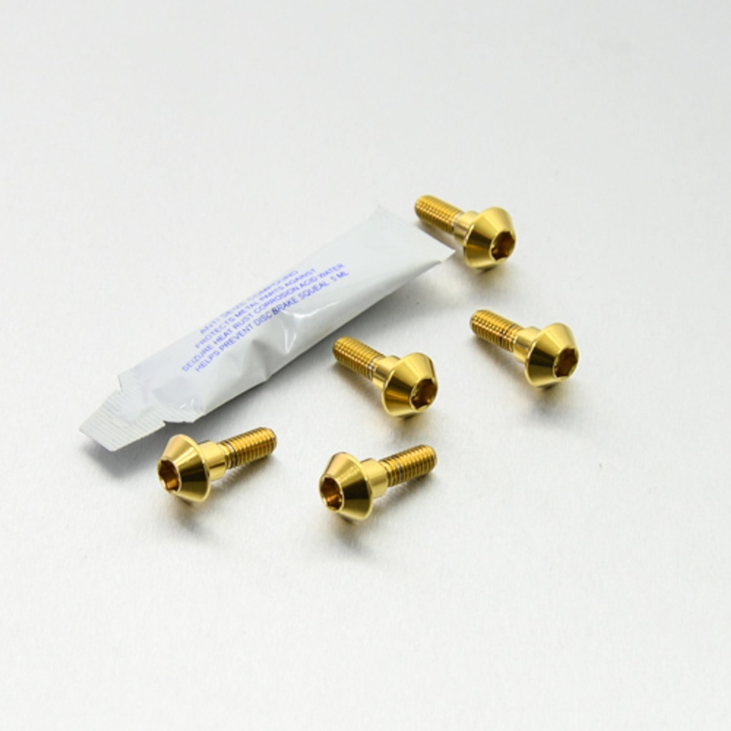 Yamaha Ténéré 700 Stainless Rotor Bolt Set