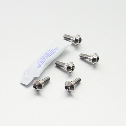 Yamaha Ténéré 700 Titanium Rotor Bolt Set
